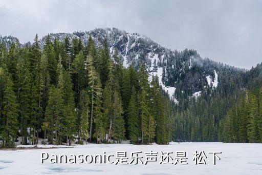 松下自動化中國有限公司,廣州超音速自動化科技有限公司