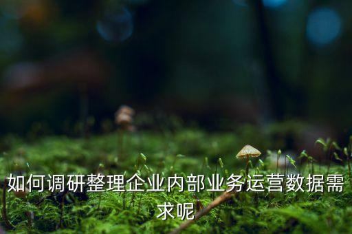 如何調(diào)研整理企業(yè)內(nèi)部業(yè)務(wù)運(yùn)營數(shù)據(jù)需求呢