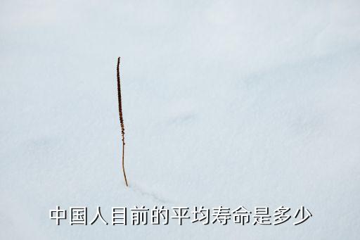 中國(guó)人目前的平均壽命是多少