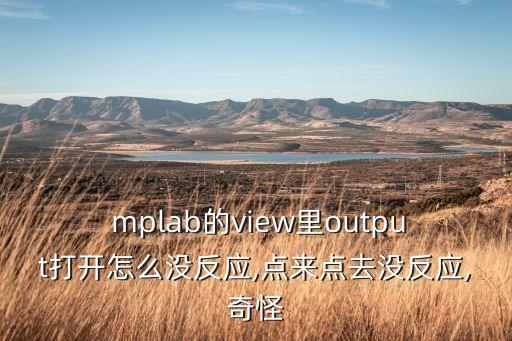  mplab的view里output打開怎么沒反應(yīng),點(diǎn)來點(diǎn)去沒反應(yīng),奇怪
