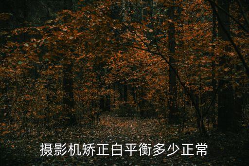 攝影機(jī)矯正白平衡多少正常