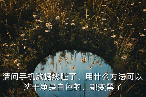 請問手機數據線臟了、用什么方法可以洗干凈是白色的、都變黑了