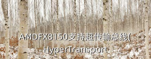 AMDFX8150支持超傳輸總線(HyperTransport