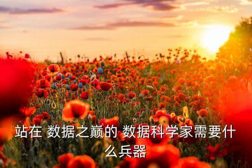 站在 數(shù)據(jù)之巔的 數(shù)據(jù)科學(xué)家需要什么兵器