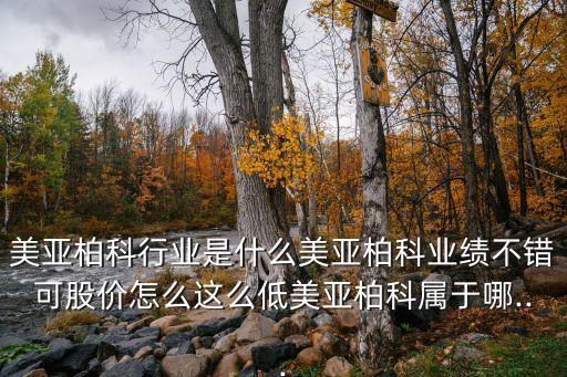 美亞柏科行業(yè)是什么美亞柏科業(yè)績不錯(cuò)可股價(jià)怎么這么低美亞柏科屬于哪...