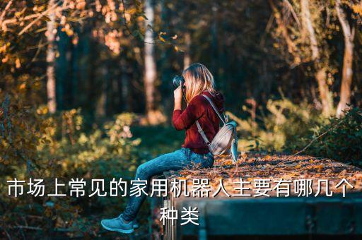 最類人進機器人,像人一樣思考同人機器人的區(qū)別