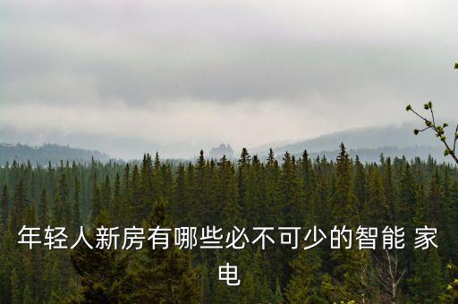年輕人新房有哪些必不可少的智能 家電