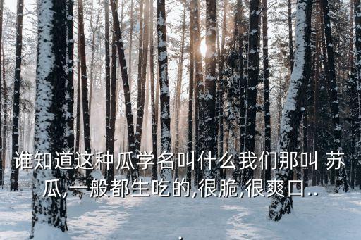 蘇瓜,酥瓜和羊角蜜是一種東西嗎