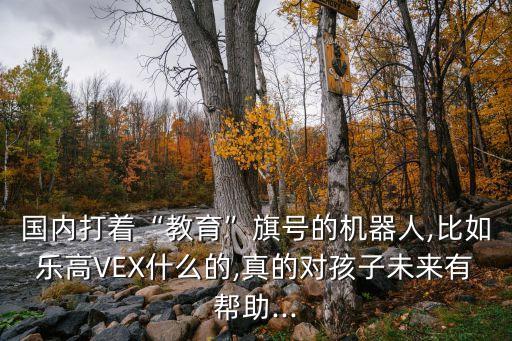 國(guó)內(nèi)打著“教育”旗號(hào)的機(jī)器人,比如樂(lè)高VEX什么的,真的對(duì)孩子未來(lái)有幫助...