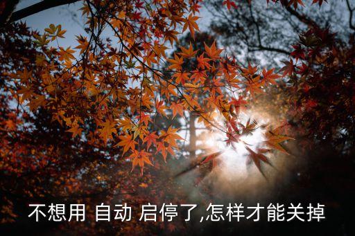 型格科技版怎么關(guān)閉自動(dòng)啟停視頻