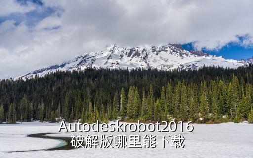 Autodeskrobot2016 破解版哪里能下載