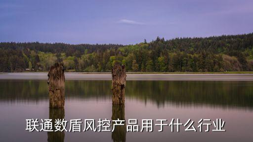 聯(lián)通數(shù)盾風(fēng)控產(chǎn)品用于什么行業(yè)