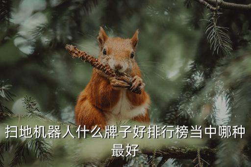 掃地機(jī)器人什么牌子好排行榜當(dāng)中哪種最好