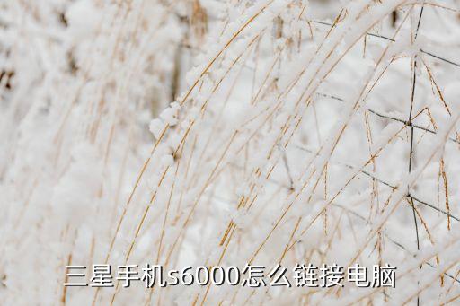三星手機s6000怎么鏈接電腦