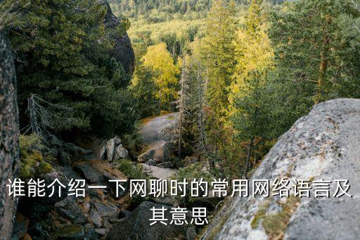 誰能介紹一下網(wǎng)聊時(shí)的常用網(wǎng)絡(luò)語言及其意思