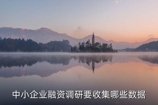 中小企業(yè)融資調(diào)研要收集哪些數(shù)據(jù)