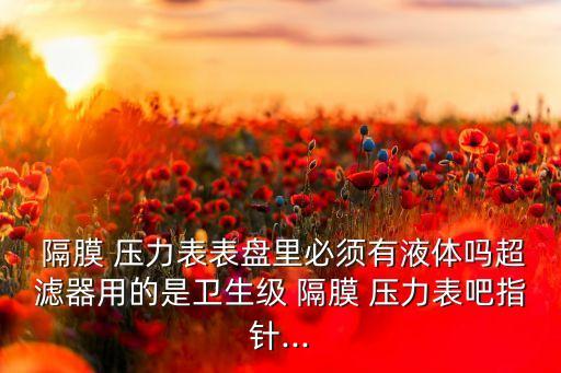  隔膜 壓力表表盤里必須有液體嗎超濾器用的是衛(wèi)生級(jí) 隔膜 壓力表吧指針...