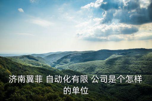 濟南翼菲 自動化有限 公司是個怎樣的單位