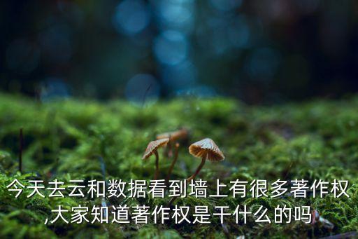 云和數(shù)據(jù)吧,一文看懂!云和數(shù)據(jù)的招聘廣告和宣傳