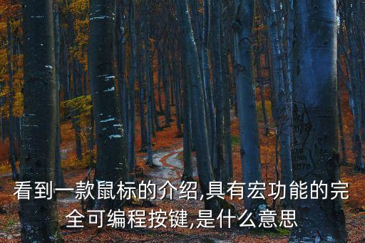 鼠標宏是什么意思,一文看懂!鼠標宏是什么意思?