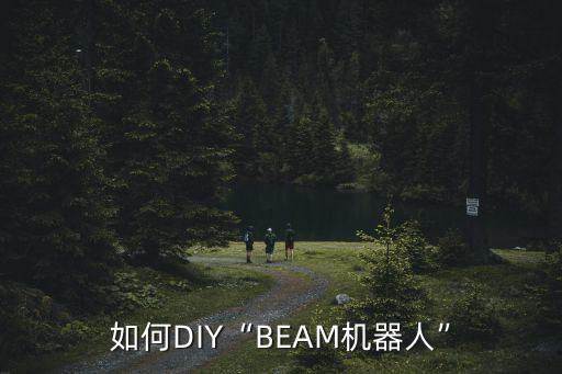 diy機(jī)器人 品牌,導(dǎo)購(gòu)機(jī)器人怎么做?