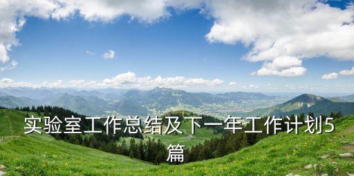  實(shí)驗(yàn)室工作總結(jié)及下一年工作計(jì)劃5篇