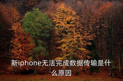 新iphone無法完成數(shù)據(jù)傳輸是什么原因