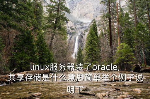linux服務器裝了oracle, 共享存儲是什么意思簡單舉個例子說明下