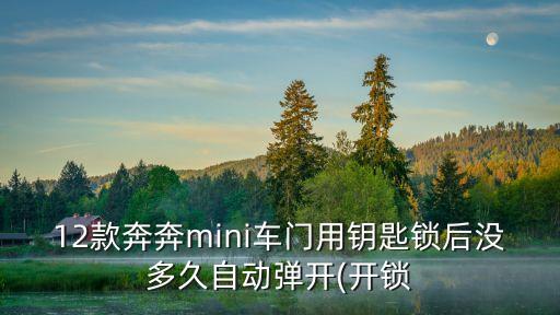 12款奔奔mini車門(mén)用鑰匙鎖后沒(méi)多久自動(dòng)彈開(kāi)(開(kāi)鎖
