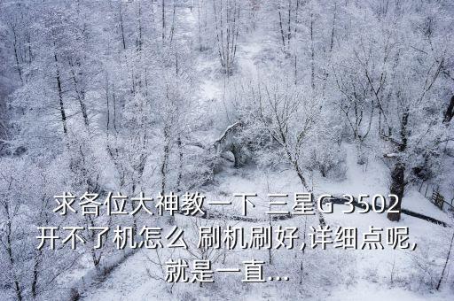 求各位大神教一下 三星G 3502開不了機怎么 刷機刷好,詳細點呢,就是一直...