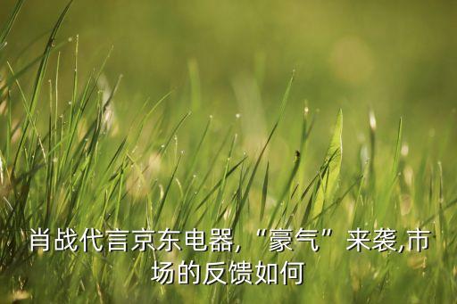 騰訊家電數(shù)據(jù),找家電網(wǎng)能上市嗎?