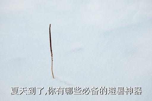 夏天到了,你有哪些必備的避暑神器