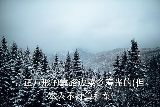 ...正方形的靠路邊菜鄉(xiāng)壽光的(但本人不打算種菜