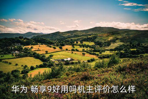 華為 暢享9好用嗎機主評價怎么樣