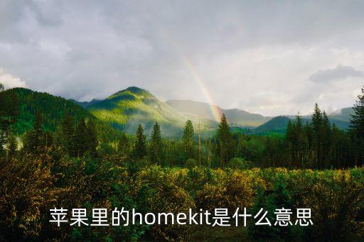 蘋果自動化設(shè)備廠商鼎納,蘋果手機自動化功能在哪?