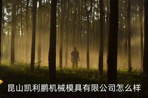 昆山凱利鵬機(jī)械模具有限公司怎么樣