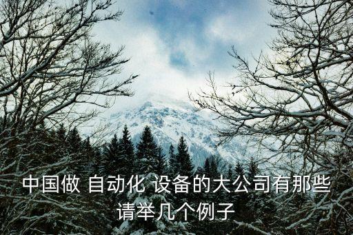 中國(guó)做 自動(dòng)化 設(shè)備的大公司有那些請(qǐng)舉幾個(gè)例子
