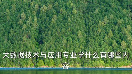 什么是大數(shù)據(jù)與應(yīng)用,大數(shù)據(jù)管理與應(yīng)用是什么?