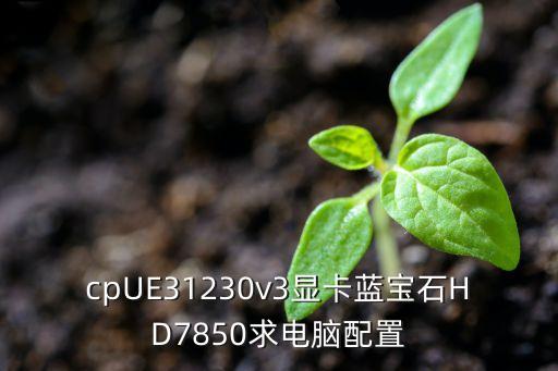 cpUE31230v3顯卡藍(lán)寶石HD7850求電腦配置