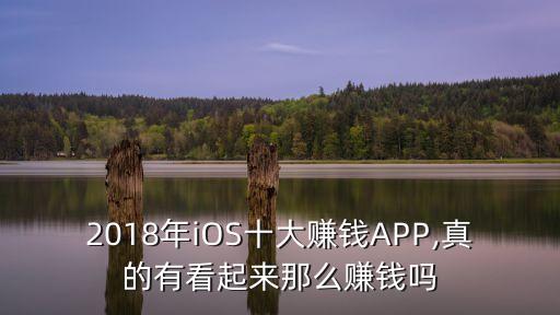 2018年iOS十大賺錢APP,真的有看起來(lái)那么賺錢嗎
