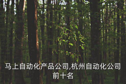 杭州馬上自動化產(chǎn)品公司,杭州自動化公司前十名