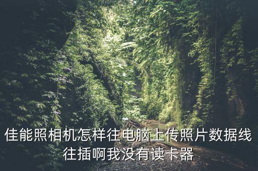 相機(jī)用數(shù)據(jù)線傳照片,索尼相機(jī)怎么傳照片到電腦上?