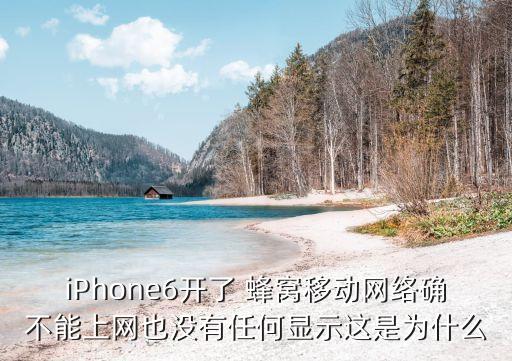 移動蜂窩數(shù)據(jù)設(shè)置不見了,carrier蜂窩移動數(shù)據(jù)設(shè)置