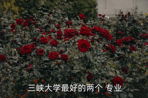  三峽大學(xué)最好的兩個(gè) 專業(yè)
