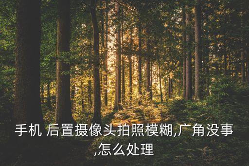 手機(jī) 后置攝像頭拍照模糊,廣角沒事,怎么處理
