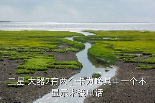 大器2,三星大器2怎么上網(wǎng)?下載方法有很多!