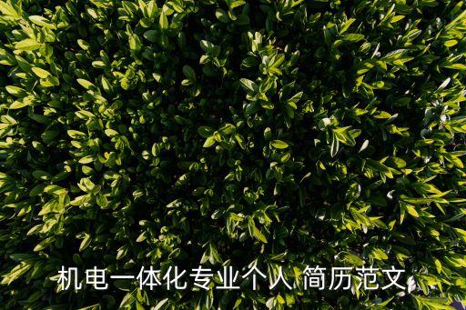 電氣工程及自動化應聘簡歷