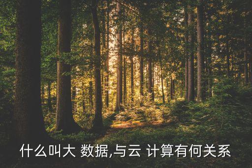 什么叫大 數(shù)據(jù),與云 計(jì)算有何關(guān)系