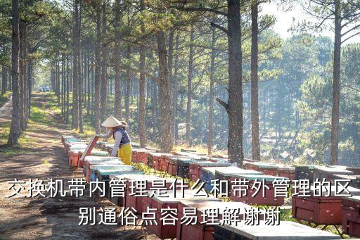 交換機(jī)帶內(nèi)管理是什么和帶外管理的區(qū)別通俗點(diǎn)容易理解謝謝
