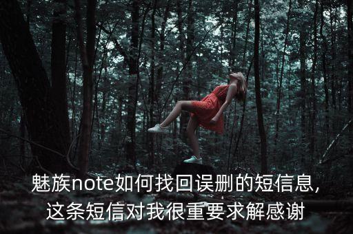 魅族短信數(shù)據(jù)同步恢復(fù),魅族手機(jī)短信怎么恢復(fù)?一文看懂
